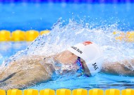 新手入门指南：网站加速